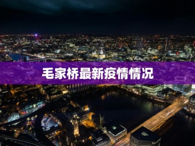 毛家桥最新疫情情况