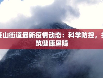 苍山街道最新疫情动态：科学防控，共筑健康屏障