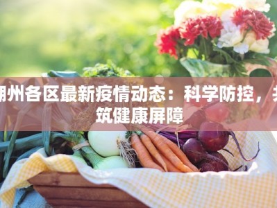 江海大院最新疫情：守护家园的温暖力量