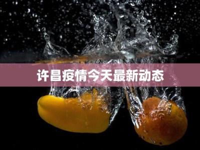 许昌疫情今天最新动态