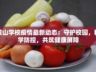 洋河区最新疫情：科学防控，守护健康家园