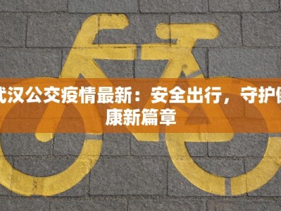 武汉公交疫情最新：安全出行，守护健康新篇章