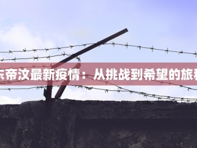 东帝汶最新疫情：从挑战到希望的旅程