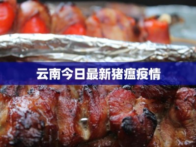 云南今日最新猪瘟疫情