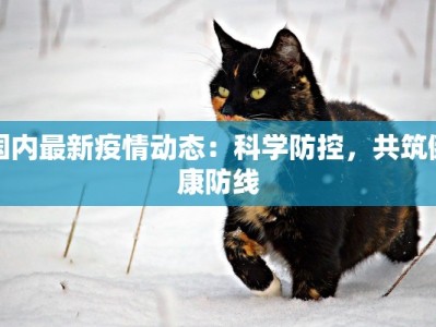 龙飞山城最新疫情：守护健康，共克时艰