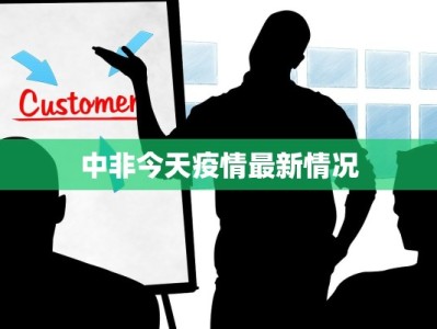 中非今天疫情最新情况