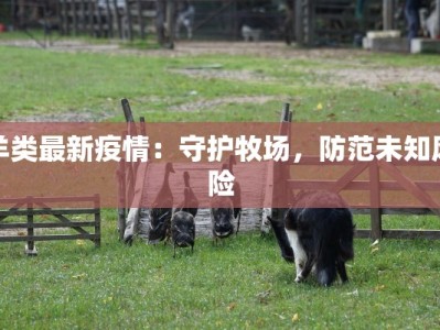 郑州楼盘最新疫情：安心置业，拥抱美好生活