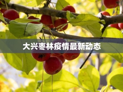 大兴枣林疫情最新动态