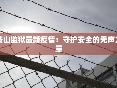 鞍山监狱最新疫情：守护安全的无声力量