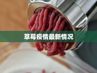 宣恩疫情最新报道