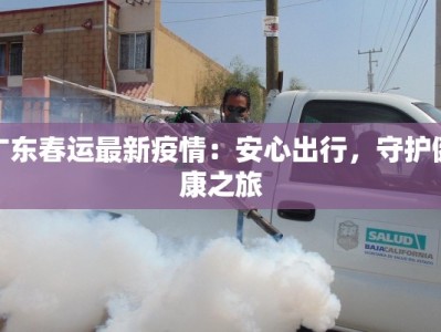 广东春运最新疫情：安心出行，守护健康之旅