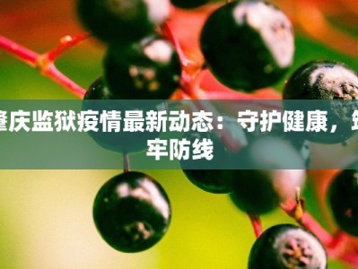肇庆监狱疫情最新动态：守护健康，筑牢防线