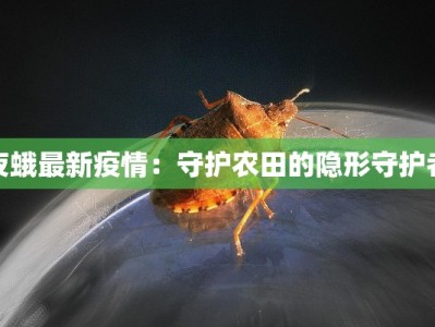 夜蛾最新疫情：守护农田的隐形守护者