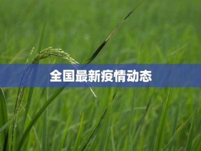 全国最新疫情动态