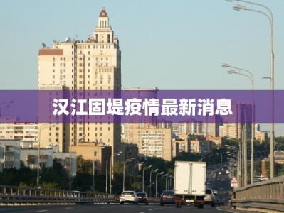 汉江固堤疫情最新消息