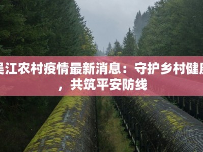 百色右江最新疫情防控：守护健康，共筑平安