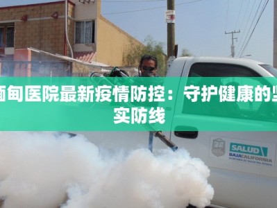 缅甸医院最新疫情防控：守护健康的坚实防线