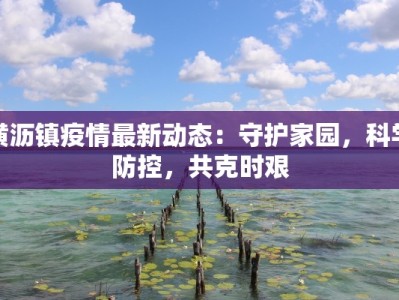 横沥镇疫情最新动态：守护家园，科学防控，共克时艰