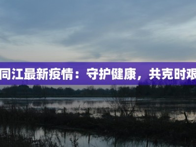 各省疫情情况分布最新