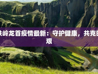 铁岭龙首疫情最新：守护健康，共克时艰