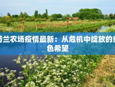 荷兰农场疫情最新：从危机中绽放的绿色希望