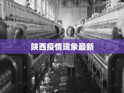 陕西疫情现象最新