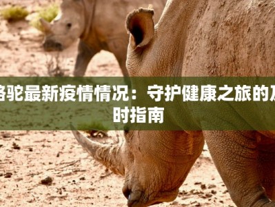 骆驼最新疫情情况：守护健康之旅的及时指南