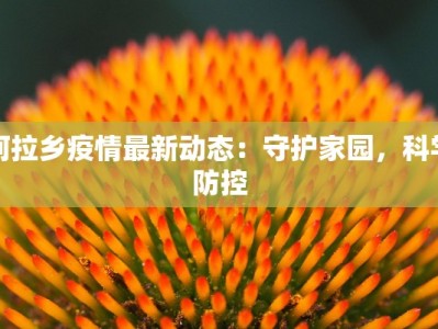 阿拉乡疫情最新动态：守护家园，科学防控