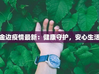 金边疫情最新：健康守护，安心生活