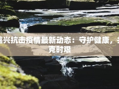 嘉兴抗击疫情最新动态：守护健康，共克时艰