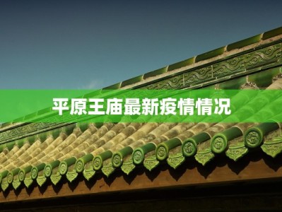 平原王庙最新疫情情况