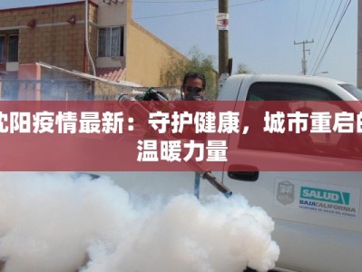 沈阳疫情最新：守护健康，城市重启的温暖力量