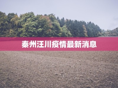 秦州汪川疫情最新消息