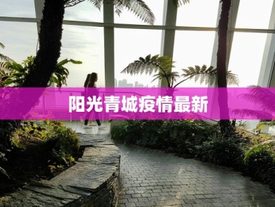 阳光青城疫情最新