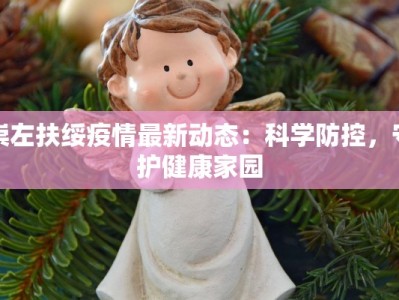 崇左扶绥疫情最新动态：科学防控，守护健康家园