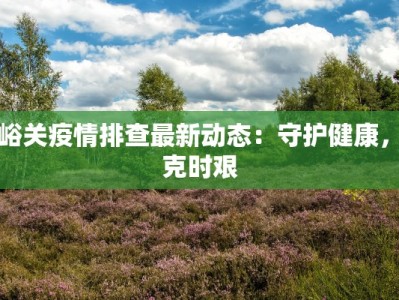 嘉峪关疫情排查最新动态：守护健康，共克时艰