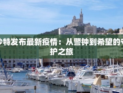 靖州最新疫情：科学防控，守护健康家园