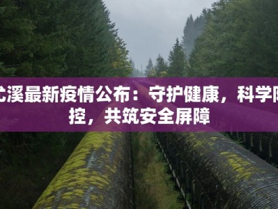 现在灵宝最新疫情