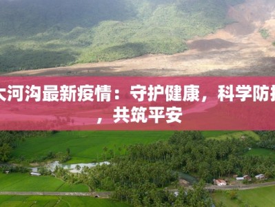 大河沟最新疫情：守护健康，科学防控，共筑平安