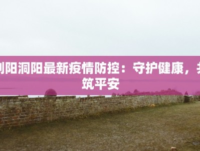 浏阳洞阳最新疫情防控：守护健康，共筑平安