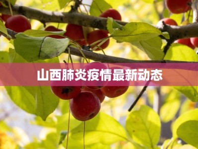 山西肺炎疫情最新动态