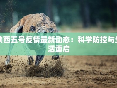 陕西五号疫情最新动态：科学防控与生活重启