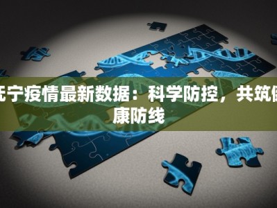 抚宁疫情最新数据：科学防控，共筑健康防线