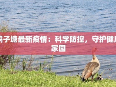 鸭子塘最新疫情：科学防控，守护健康家园