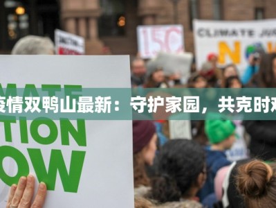 疫情双鸭山最新：守护家园，共克时艰