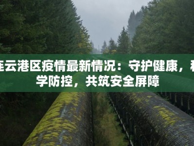 连云港区疫情最新情况：守护健康，科学防控，共筑安全屏障