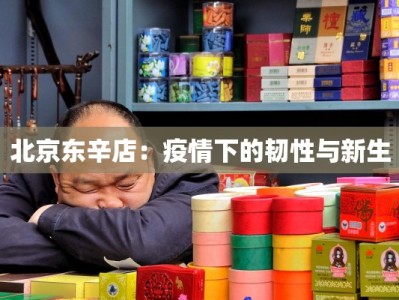 北京东辛店：疫情下的韧性与新生