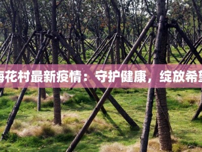 梅花村最新疫情：守护健康，绽放希望