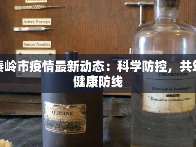 秦岭市疫情最新动态：科学防控，共筑健康防线
