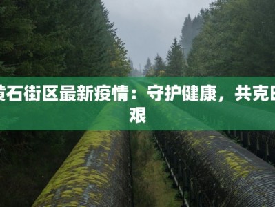 黄石街区最新疫情：守护健康，共克时艰
